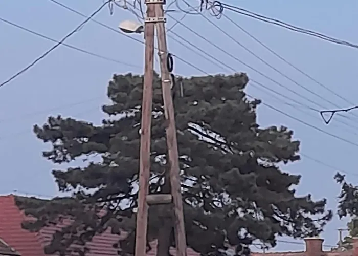 Tiszameer アパート